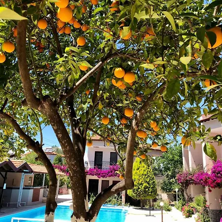 别墅 Dalyan Arda Villas 达利安