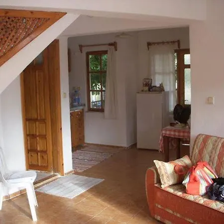 别墅 Dalyan Arda Villas 达利安